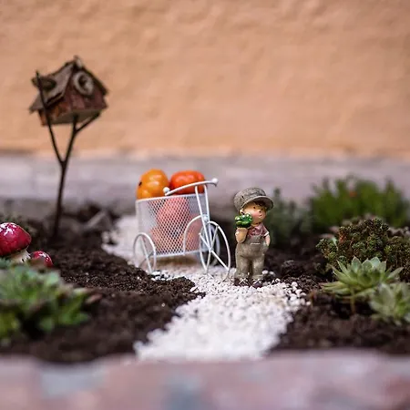 K10 * Будапешт